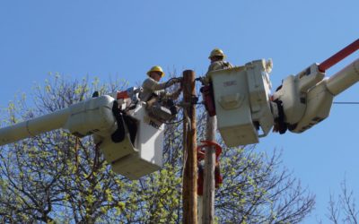 Informing a Debate over Public Power